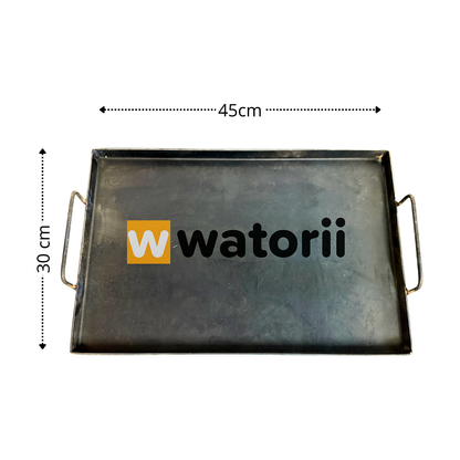 Carbón Argentino + Pala + Plancha Fierro Pack Watorii – vista 4